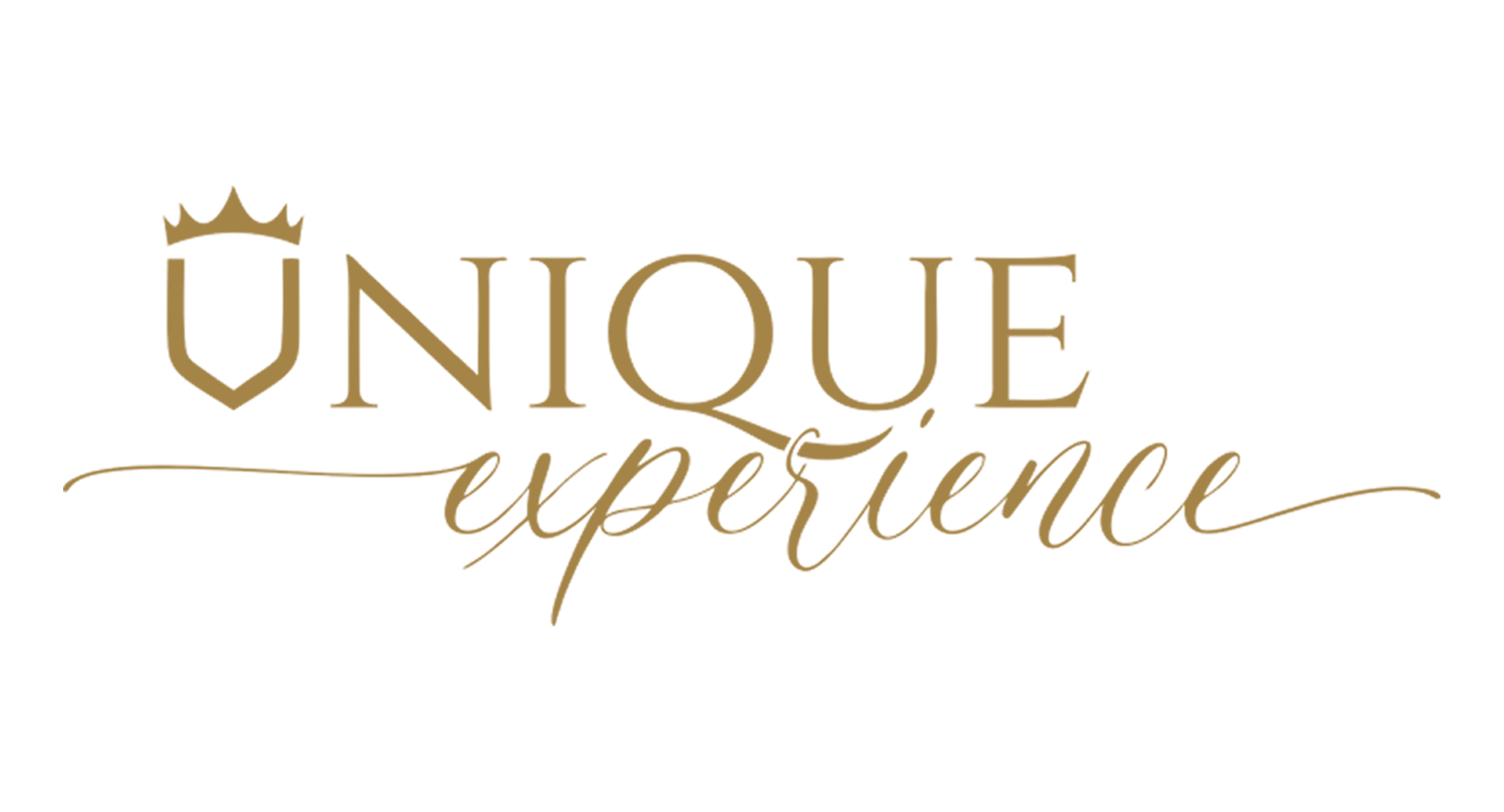 Logo Unique Experience